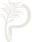 PALMA